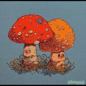 Meet your Posher, Brooke